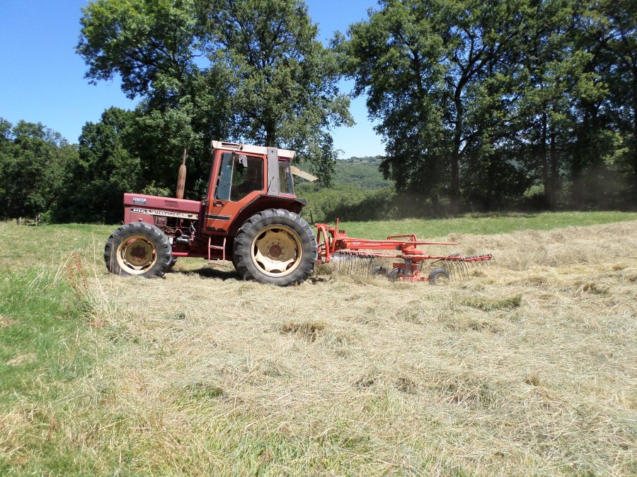 hay cutting 