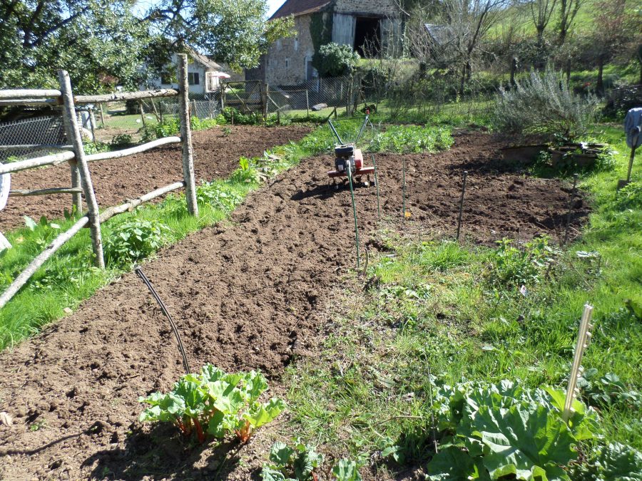 he vegetable garden 