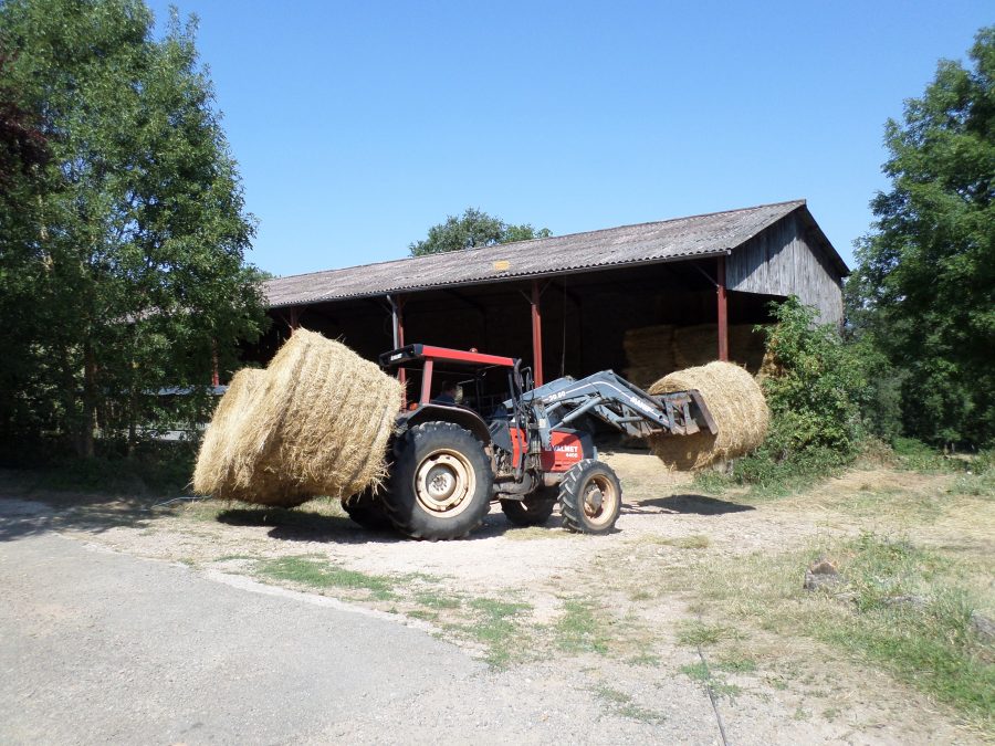 stocking the hay 