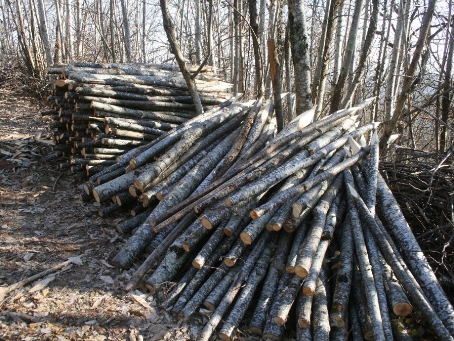 fence posts 