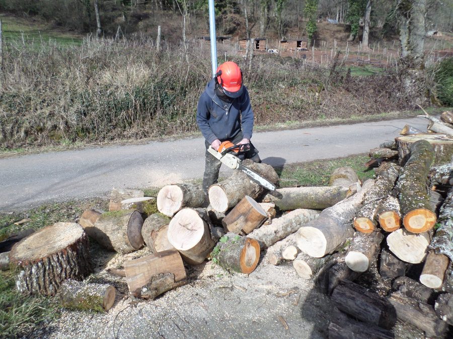 chopping wood 